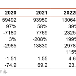 【趋势分析报告】拼多多跨境电商Temu