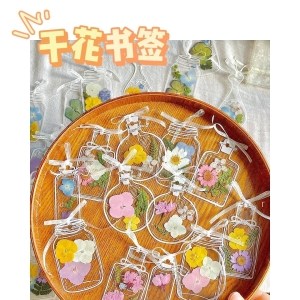 成本几毛钱，日销7700+单，卖DIY干花书签赚疯了！