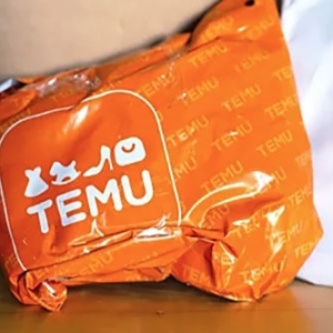 TEMU平台店铺成功起量四大部分运营秘籍