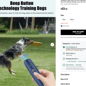 老乡组团出海，江西这个小镇拿到了跨境“SHEIN样本”